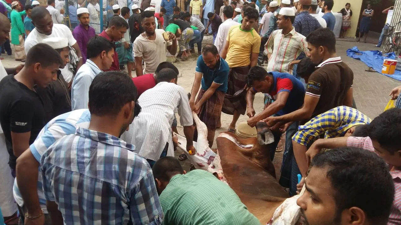পশু কোরবানির মধ্য দিয়ে আমিরাতে ঈদুল আজহা উদযাপিত