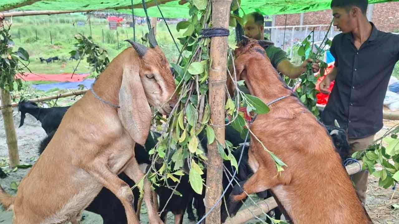 dhakapost