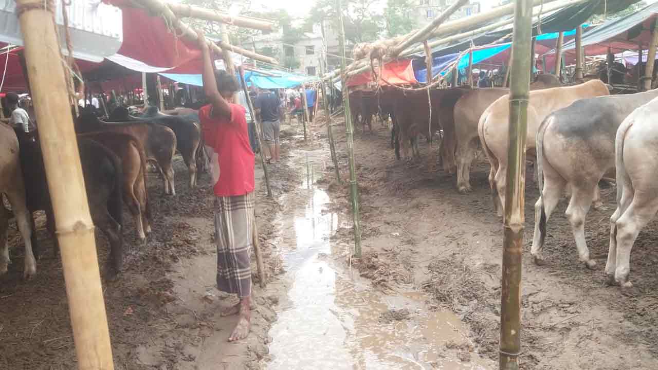 dhakapost
