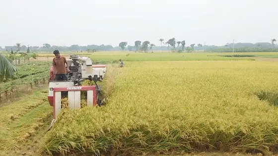 যশোরে সরকারি ভর্তুকিতে কেনা ৮১ কম্বাইন হারভেস্টারের অর্ধেকের হদিস নেই
