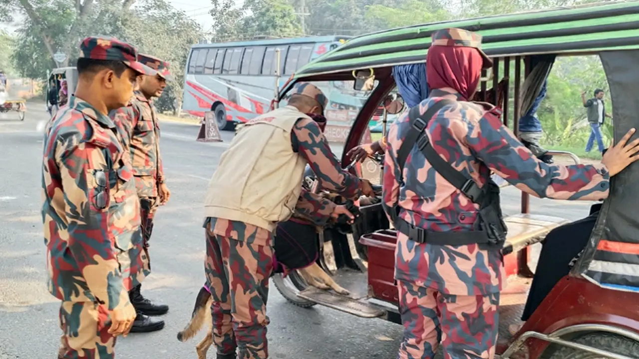 চামড়ার দাম কম, পাচার ঠেকাতে সতর্ক বিজিবি
