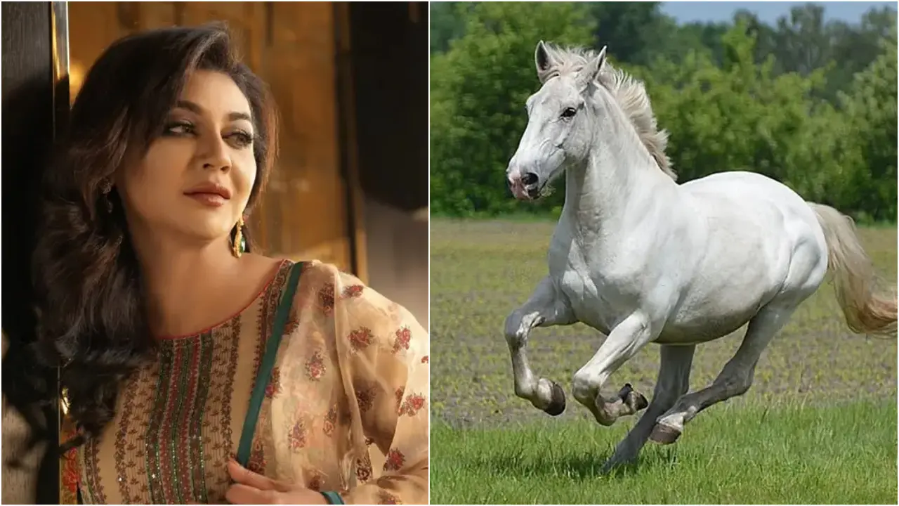 ঘোড়ার মাংসের বাণিজ্য নিষিদ্ধ চেয়ে জয়া আহসানের রিট
