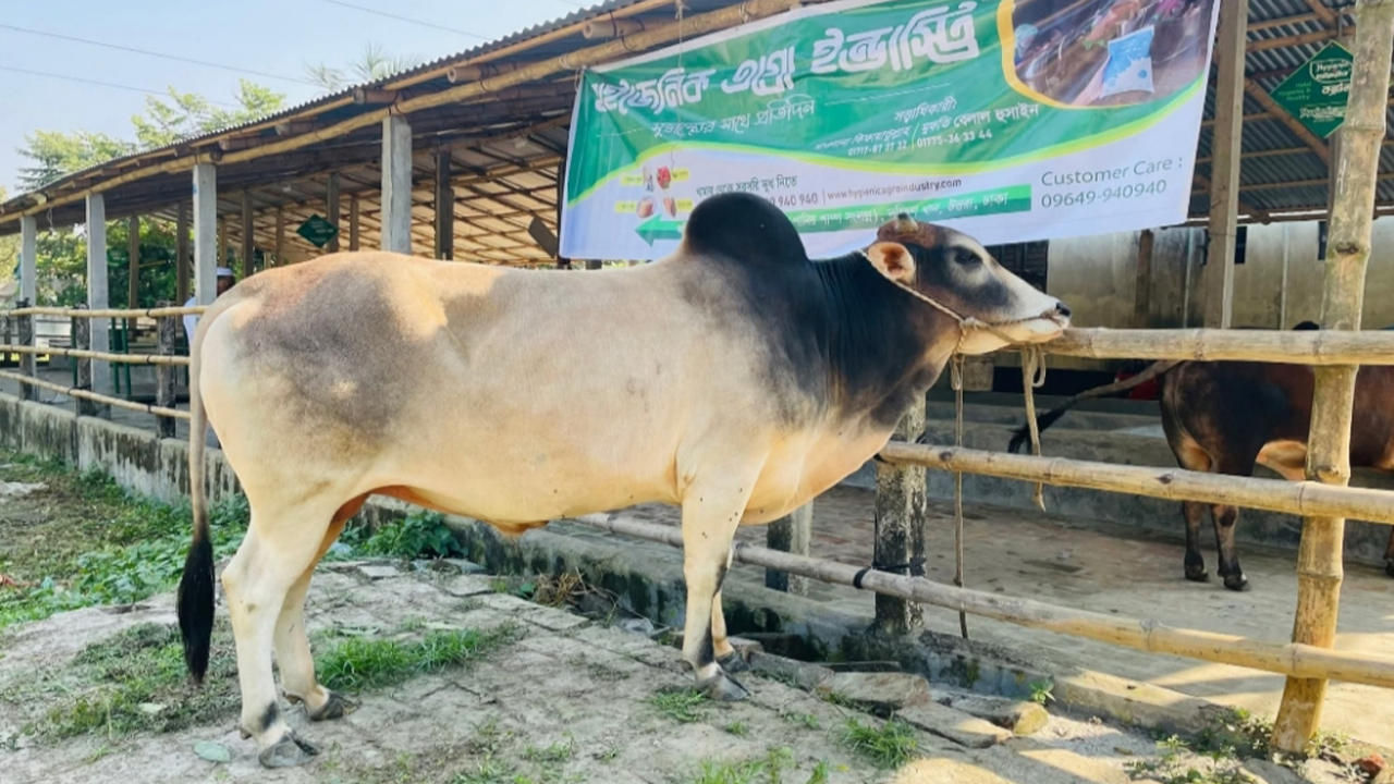 dhakapost