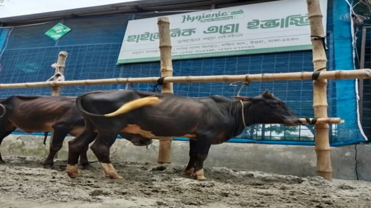 dhakapost