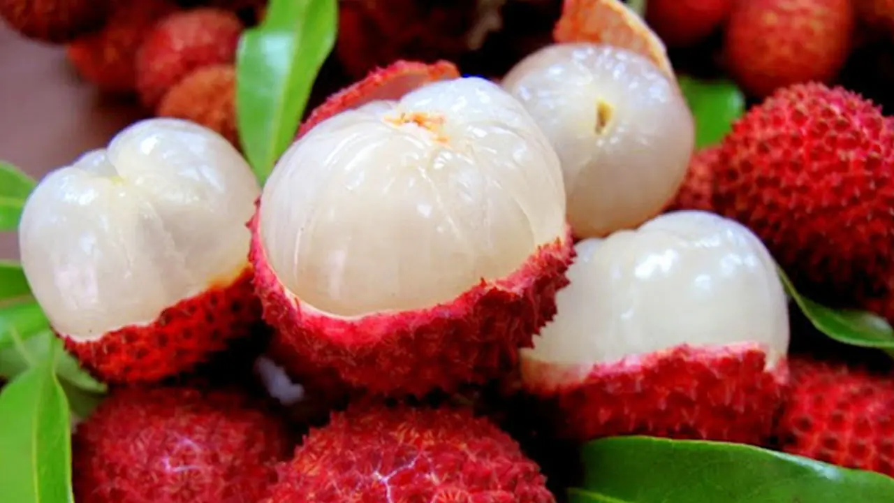 গলায় লিচুর বিচি আটকে প্রাণ গেল এক বছরের শিশুর