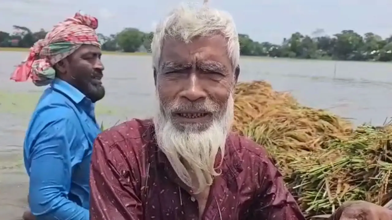 ‘ডুবাইয়া ধান কাডন লাগতাছে, এইরম সুহে আছি আমরা’