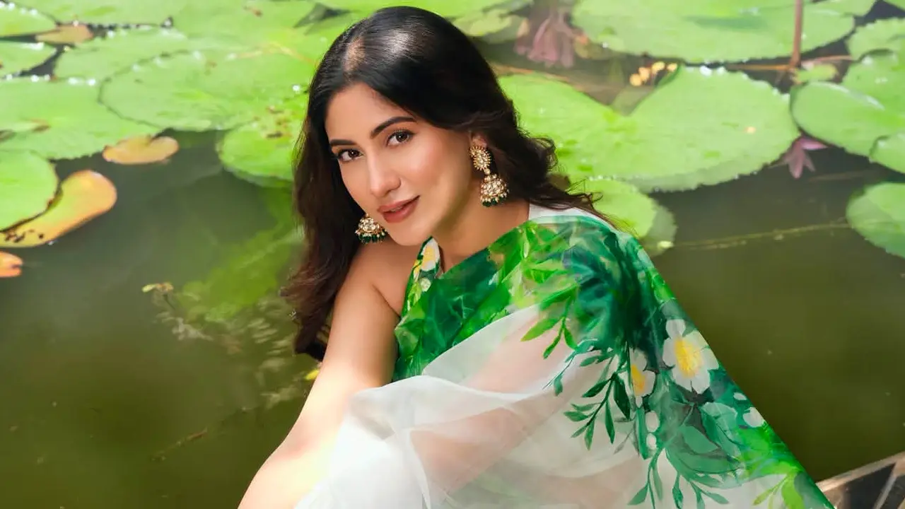 শেয়ালগুলো কাছে এসে চিৎকার করতো : সাফা কবির