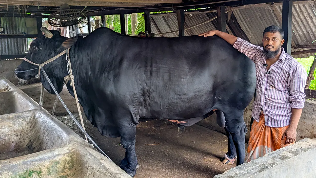 বিক্রি হলো খালেদা জিয়াকে উপহার দেওয়া সেই ‘কালো মানিক’