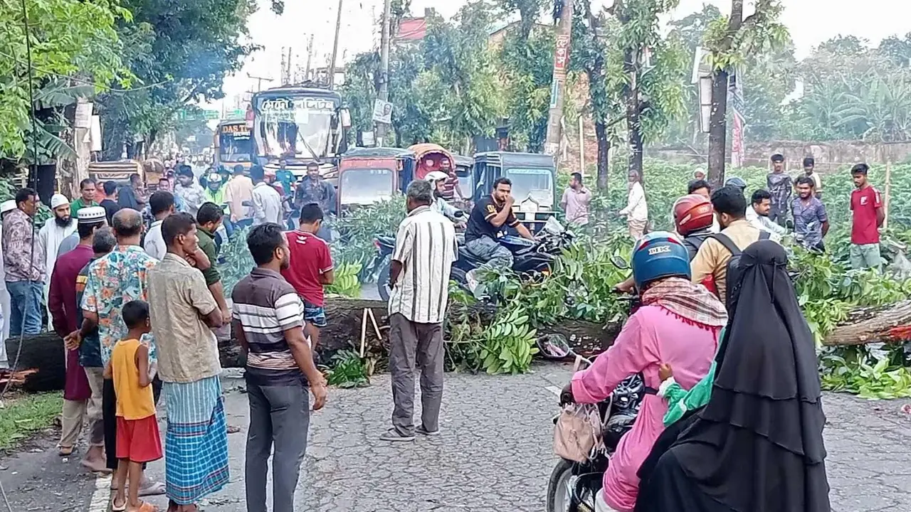 পিরোজপুরে কালবৈশাখি ঝড়ে গাছ পড়ে বন্ধ সড়ক-বিদ্যুৎ সরবরাহ
