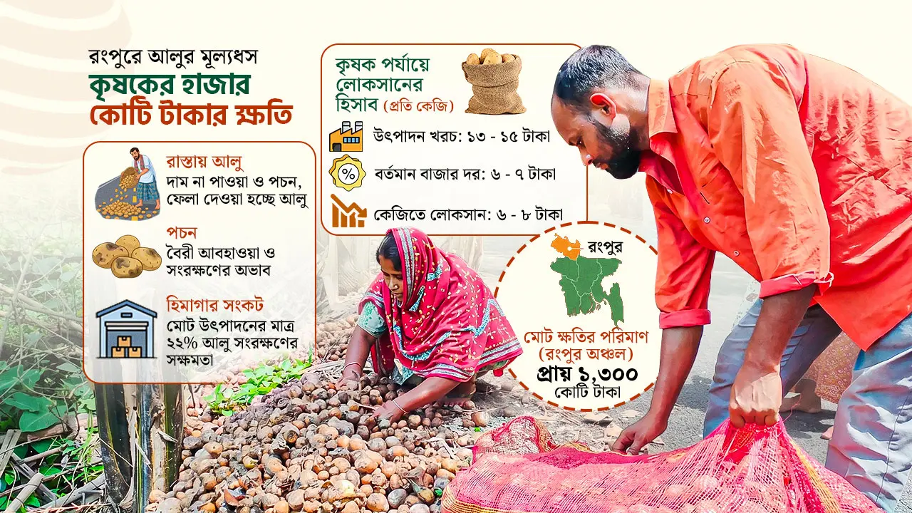 দাম না পেয়ে আলু ফেলে দিচ্ছেন কৃষক, ক্ষতির পরিমাণ ১ হাজার কোটি টাকা
