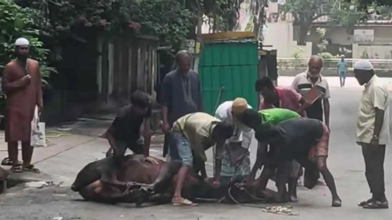 ঢাকায় ঈদের দ্বিতীয় দিনেও চলছে পশু কোরবানি