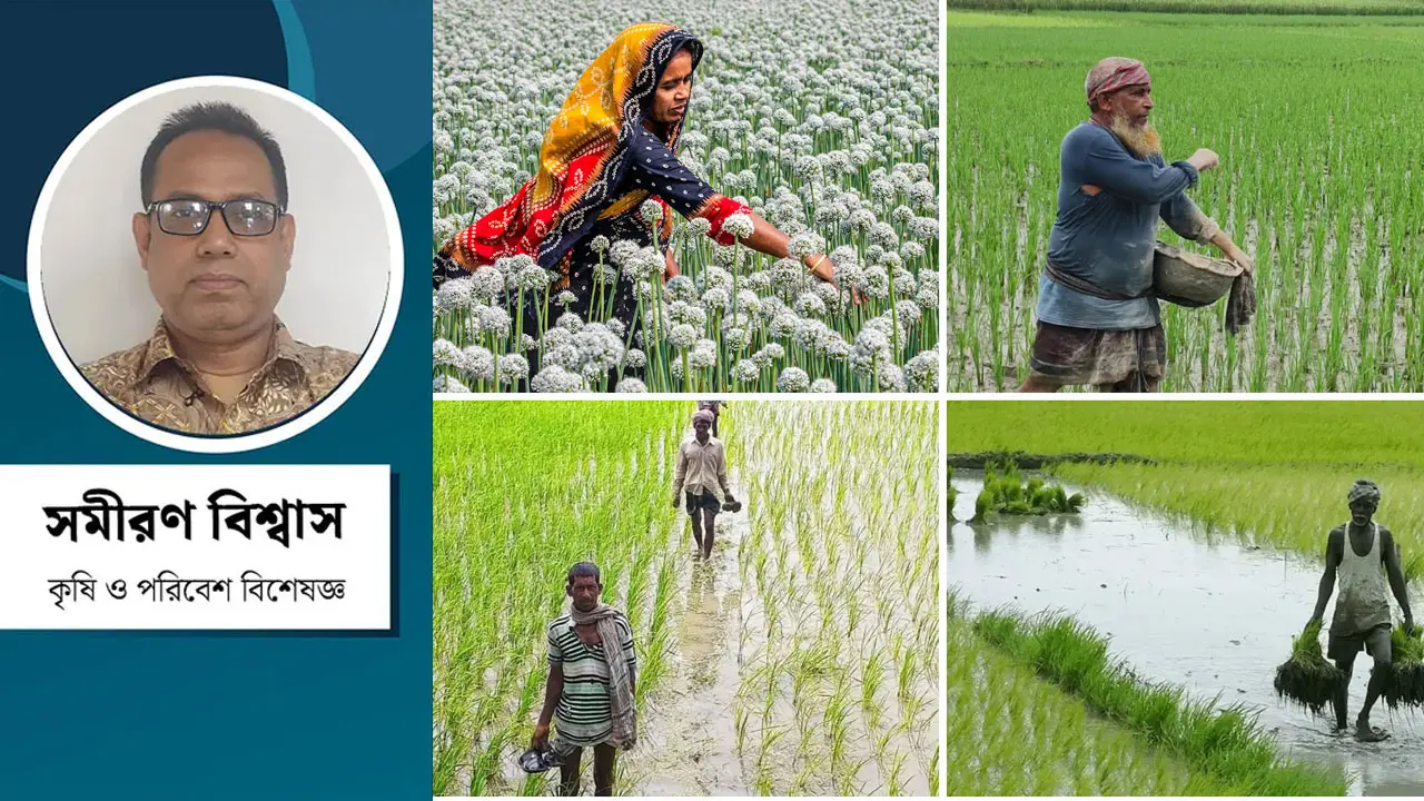 জাতীয় বাজেটে কৃষির গুরুত্ব ও বাস্তবতা