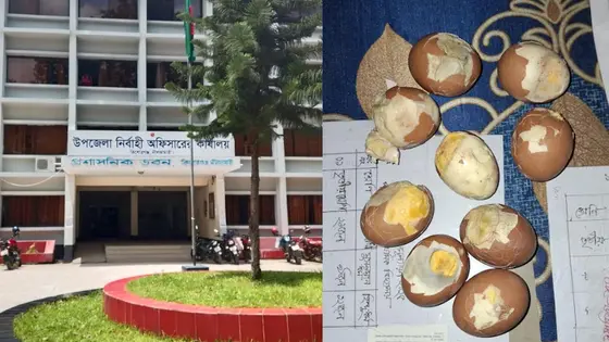 শিক্ষার্থীদের পচা ডিম দেওয়ার ঘটনায় তদন্ত কমিটি গঠন