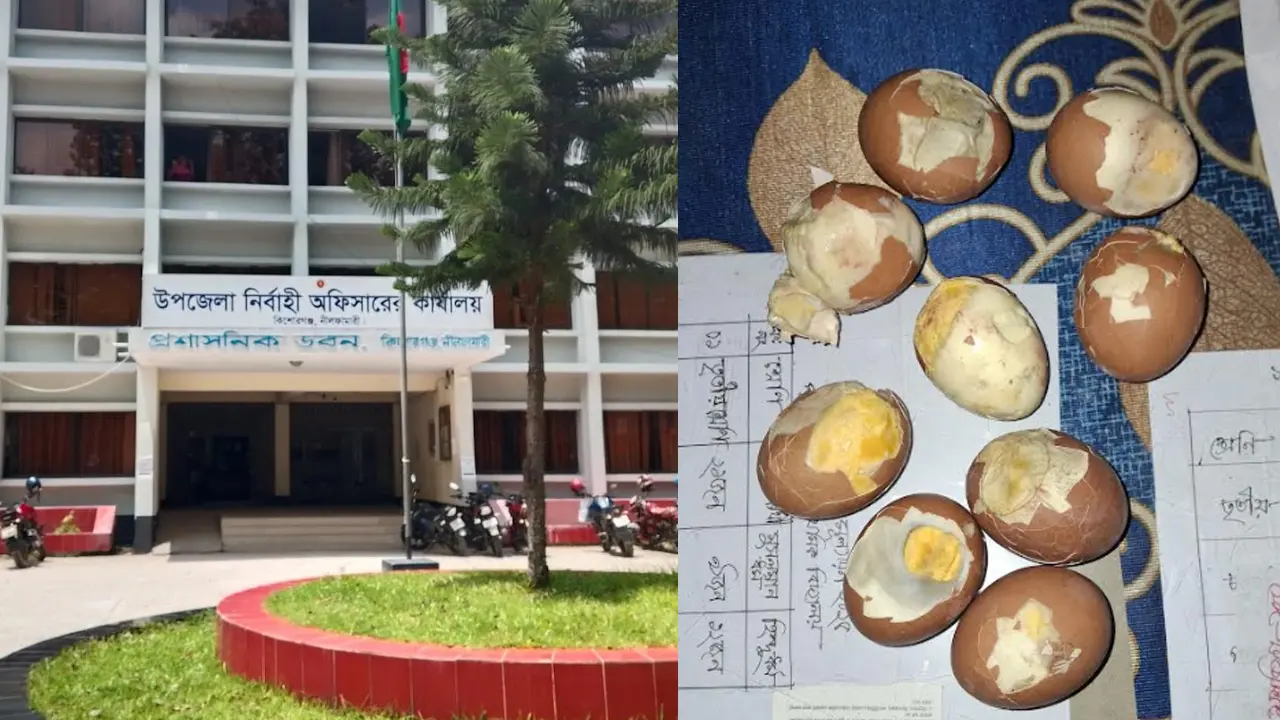 শিক্ষার্থীদের পচা ডিম দেওয়ার ঘটনায় তদন্ত কমিটি গঠন