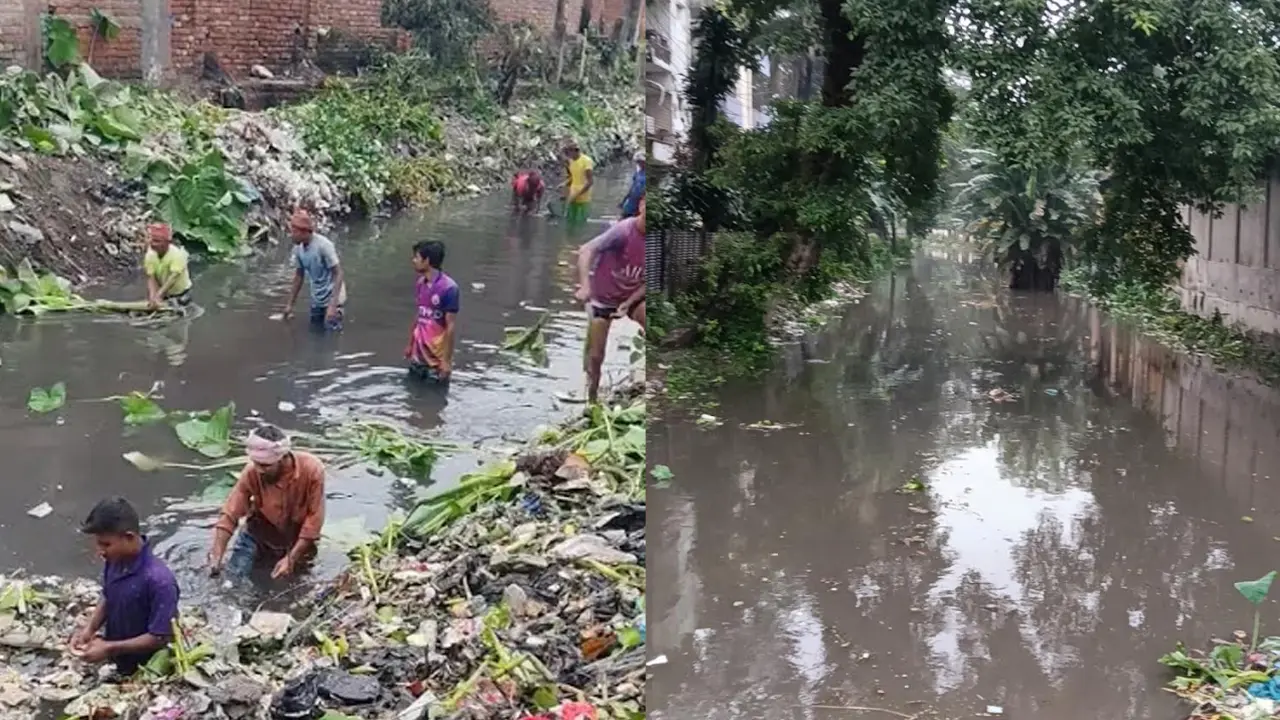 শ্যামাসুন্দরীকে বাঁচাতে বরাদ্দ ১৫ কোটি, পাউবো বলছে এ সংস্কার অর্থহীন