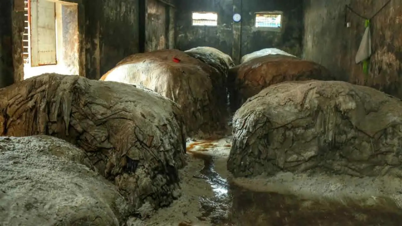 দুই হাজার টাকার চামড়া বিক্রি হচ্ছে ৫০০ টাকায়