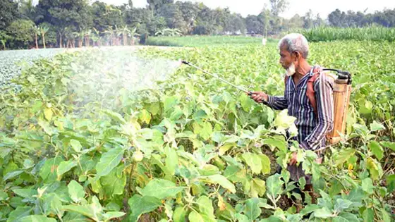 কাঁচামালে শুল্ক চাপ, আমদানিতে ছাড়-বৈষম্যে পিছিয়ে কীটনাশক শিল্প