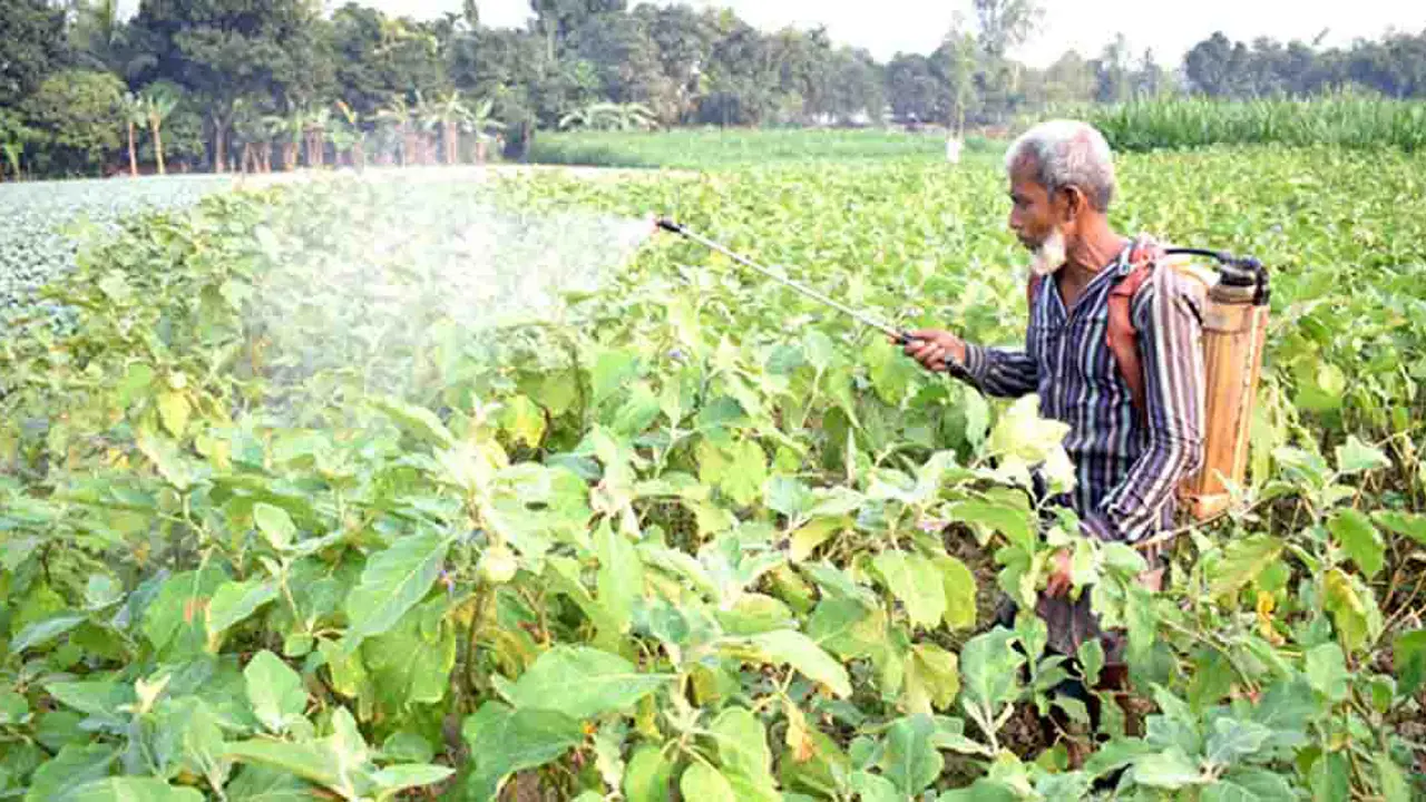কাঁচামালে শুল্ক চাপ, আমদানিতে ছাড়-বৈষম্যে পিছিয়ে কীটনাশক শিল্প