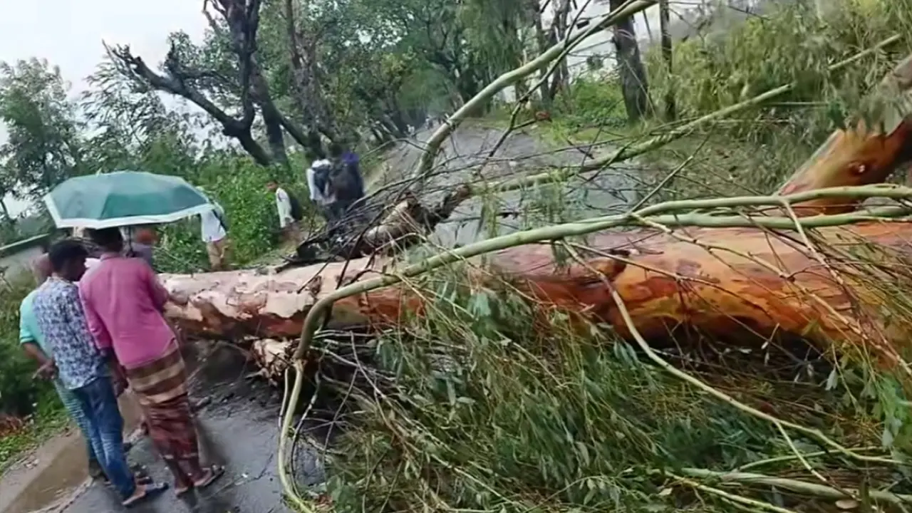 কালবৈশাখিতে লণ্ডভণ্ড জয়পুরহাট, ক্ষতিগ্রস্ত বোরো ধান ও ঘরবাড়ি