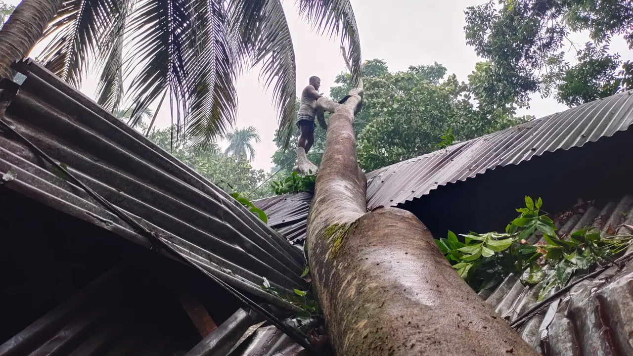 বিদ্যুৎহীন মেহেন্দীগঞ্জ, লণ্ডভণ্ড শতাধিক ঘরবাড়ি