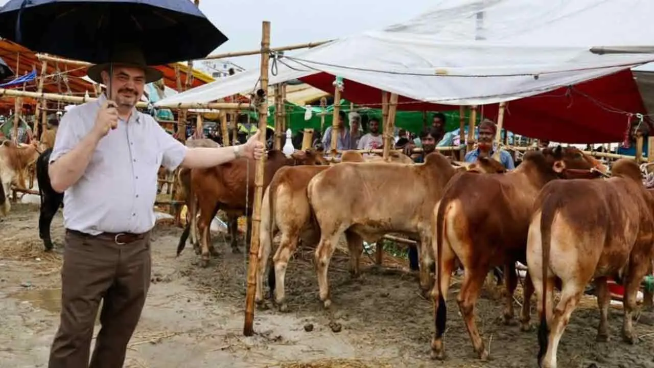 কোরবানির পশুর হাট ঘুরে দেখলেন মার্কিন রাষ্ট্রদূত, জানালেন ঈদের শুভেচ্ছা