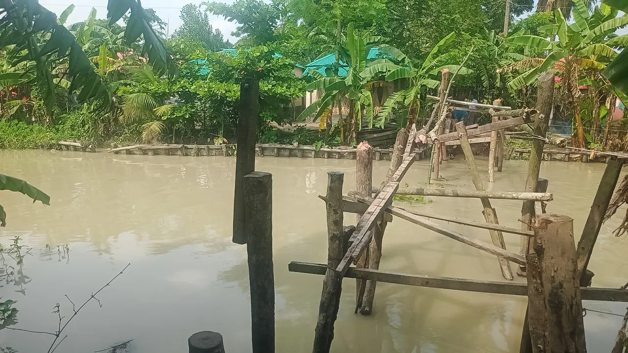 ভেঙে গেছে সাঁকো, কলাগাছের ভেলাই ভরসা ৩২ পরিবারের