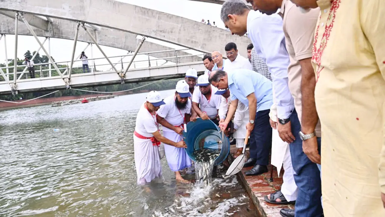 ক্রিসেন্ট লেকে প্রধানমন্ত্রীর পোনা অবমুক্তকরণে মরা মাছ, যা জানা গেল