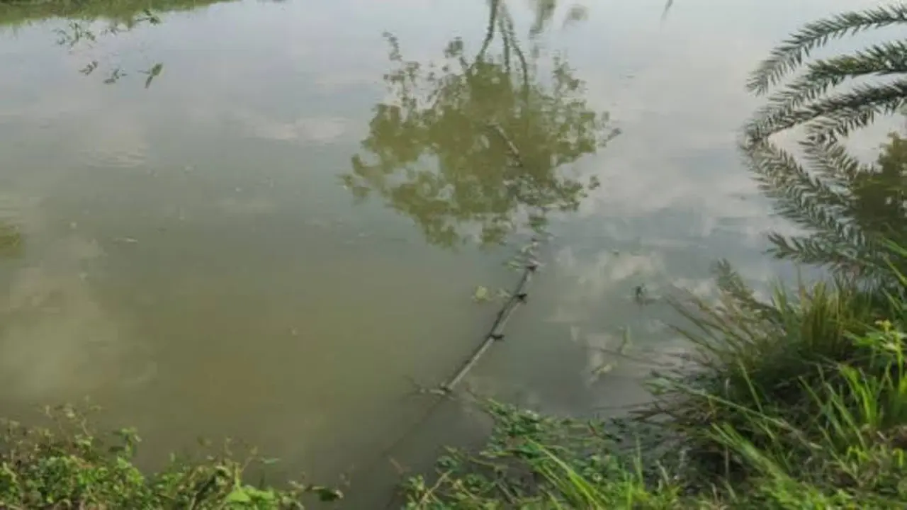 কুমিল্লায় পানিতে ডুবে জমজ শিশুর মৃত্যু