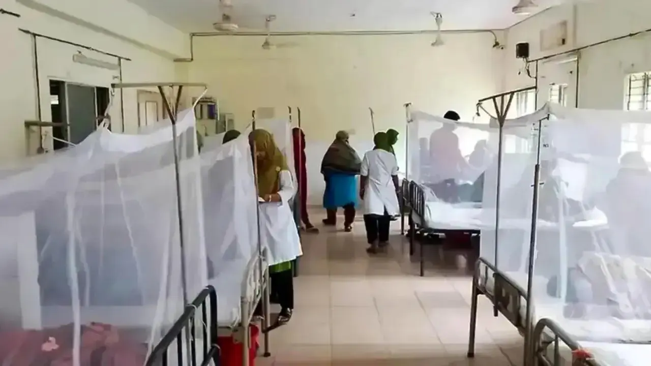 খুলনায় ২৪ ঘণ্টায় ডেঙ্গুতে ৩ জনের মৃত্যু, নতুন আক্রান্ত ২৯০