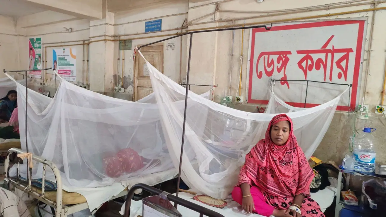 পিরোজপুরে বাড়ছে ডেঙ্গু, হাসপাতালে রোগীর চাপ