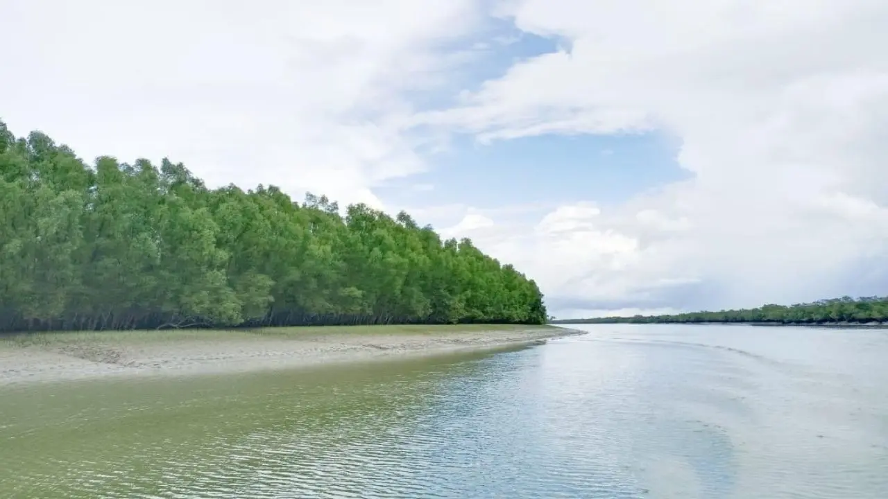 তিন মাস পর সুন্দরবনে ফিরছেন জেলে-বাওয়ালিরা, কাটেনি দস্যু আতঙ্ক
