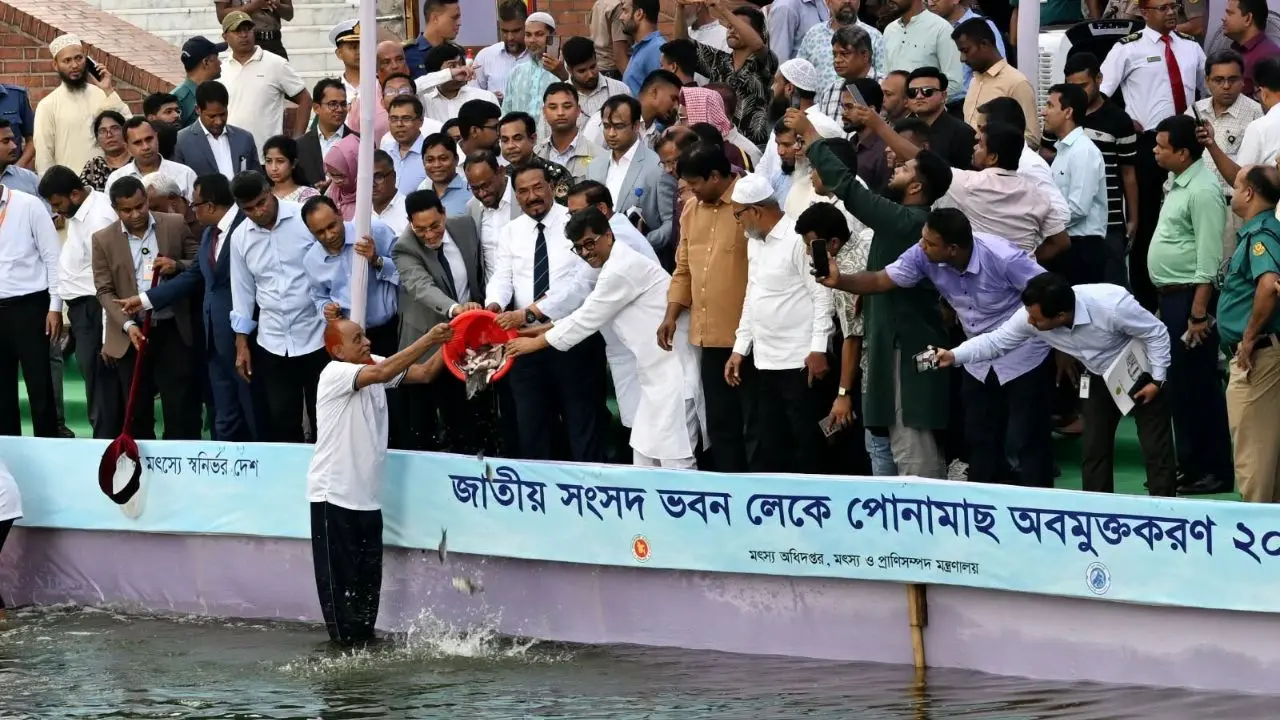 সংসদ ভবন লেকে পোনা মাছ অবমুক্তকরণ