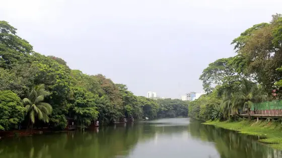 ধানমন্ডি লেকের পরিবেশ পুনরুদ্ধারে ৭৫ কোটি টাকার পরিকল্পনা