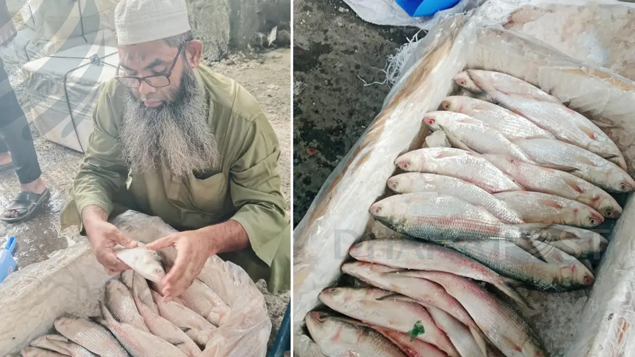 বেনাপোল দিয়ে ভারত থেকে সাড়ে ৩ লাখ কেজি ইলিশ আমদানি