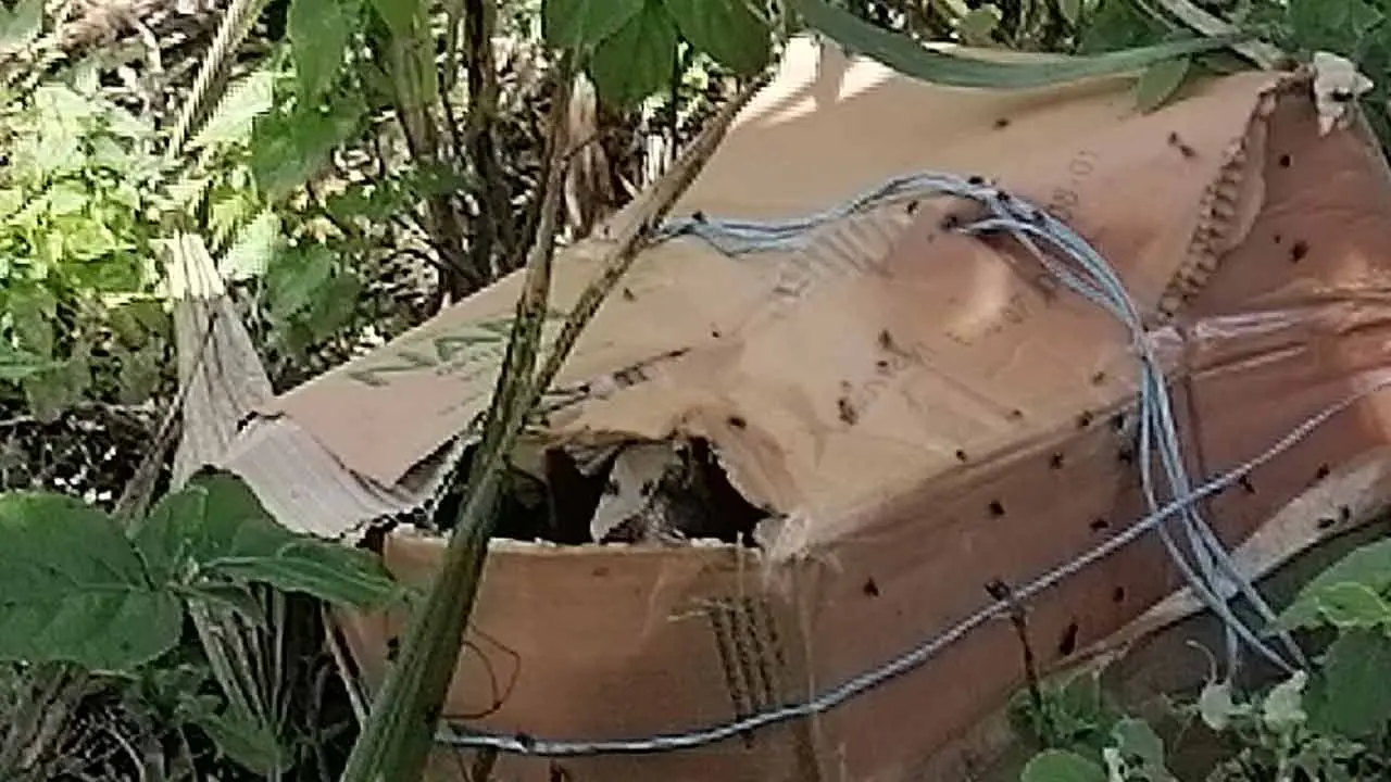 ফরিদপুরে ৩ কার্টনে মিলল অজ্ঞাত ব্যক্তির ৬ টুকরো লাশ