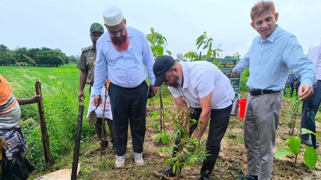 জলবায়ু পরিবর্তন মোকাবিলায় ব্যাপক বনায়ন গুরুত্বপূর্ণ: পরিবেশ প্রতিমন্ত্রী