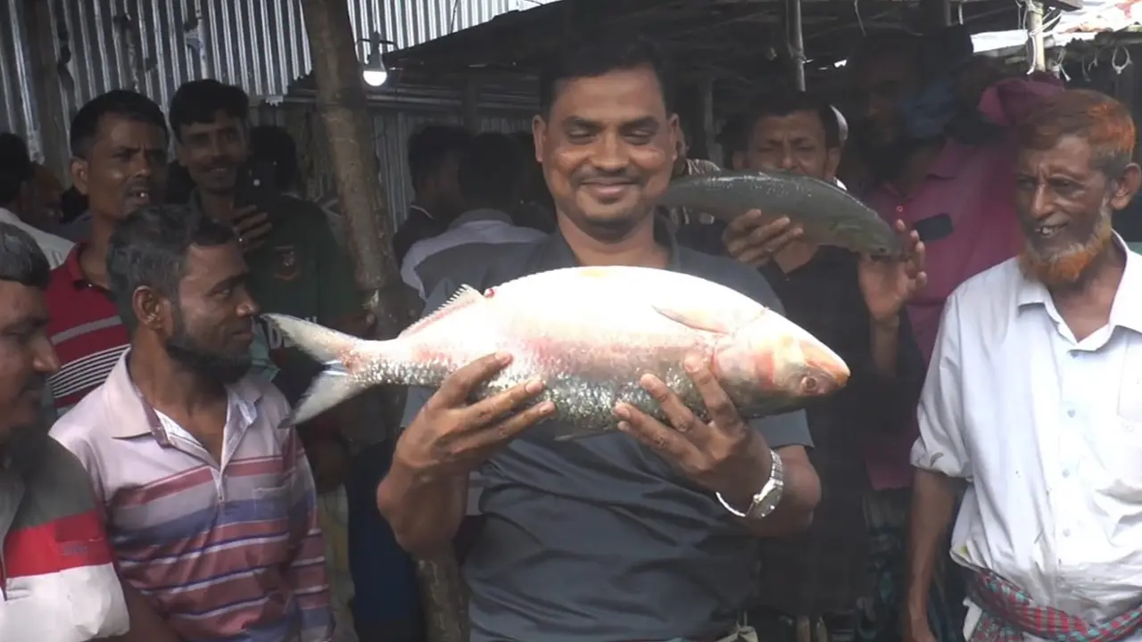 ভোলায় এক ইলিশ বিক্রি হলো ১২ হাজার ৯০০ টাকায়