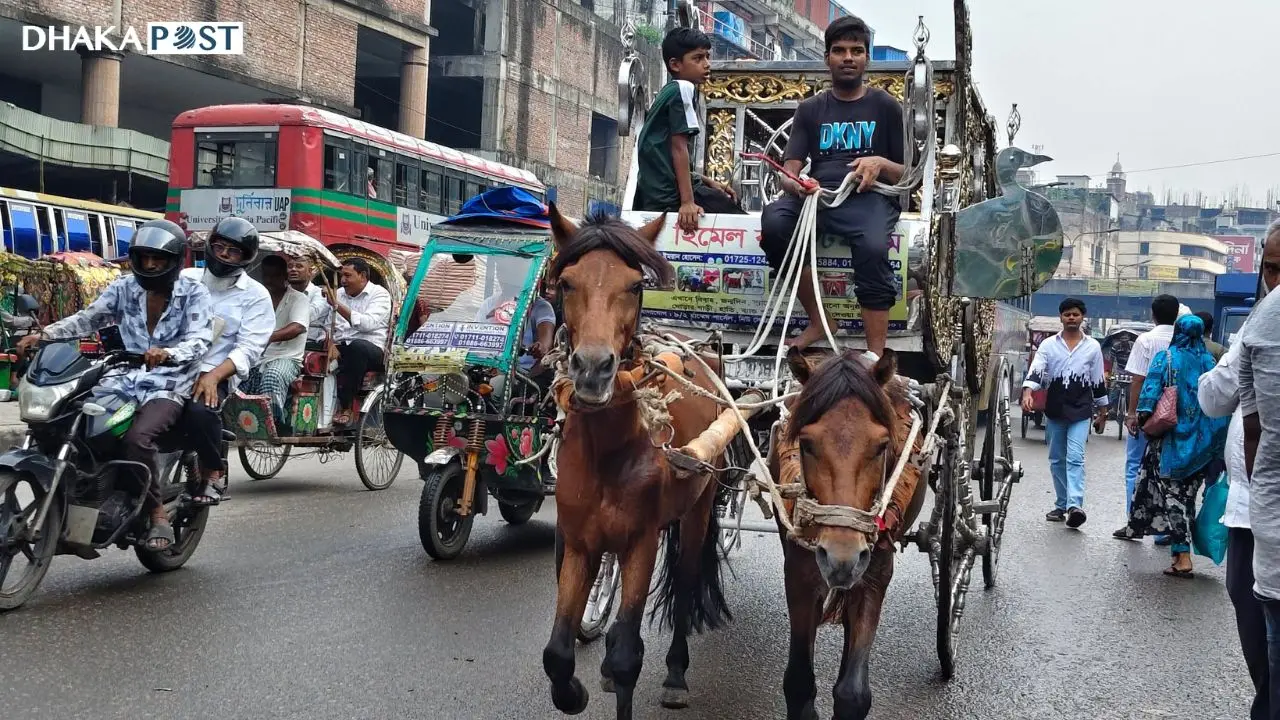 আধুনিকতার ভিড়ে এখনো হারায়নি ঢাকার ঘোড়ার গাড়ির ঐতিহ্য