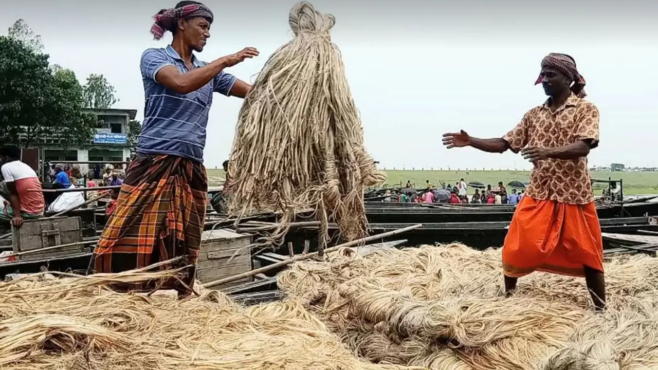 সুদিন ফিরছে সোনালী আঁশে, কৃষকের মুখে হাসি