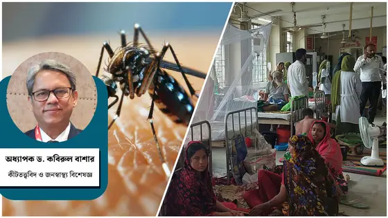 মশা মারার বদলে মশার জন্ম বন্ধ করতে হবে