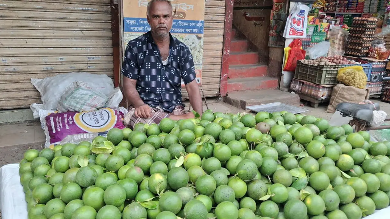 বাজারে অপরিপক্ব ফলের সয়লাবে সুনাম হারাচ্ছে খাগড়াছড়ির মাল্টা
