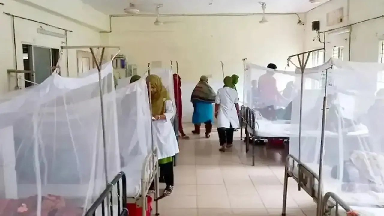 খুলনা বিভাগে এক দিনে রেকর্ড ৩৩৪ ডেঙ্গু রোগী হাসপাতালে ভর্তি