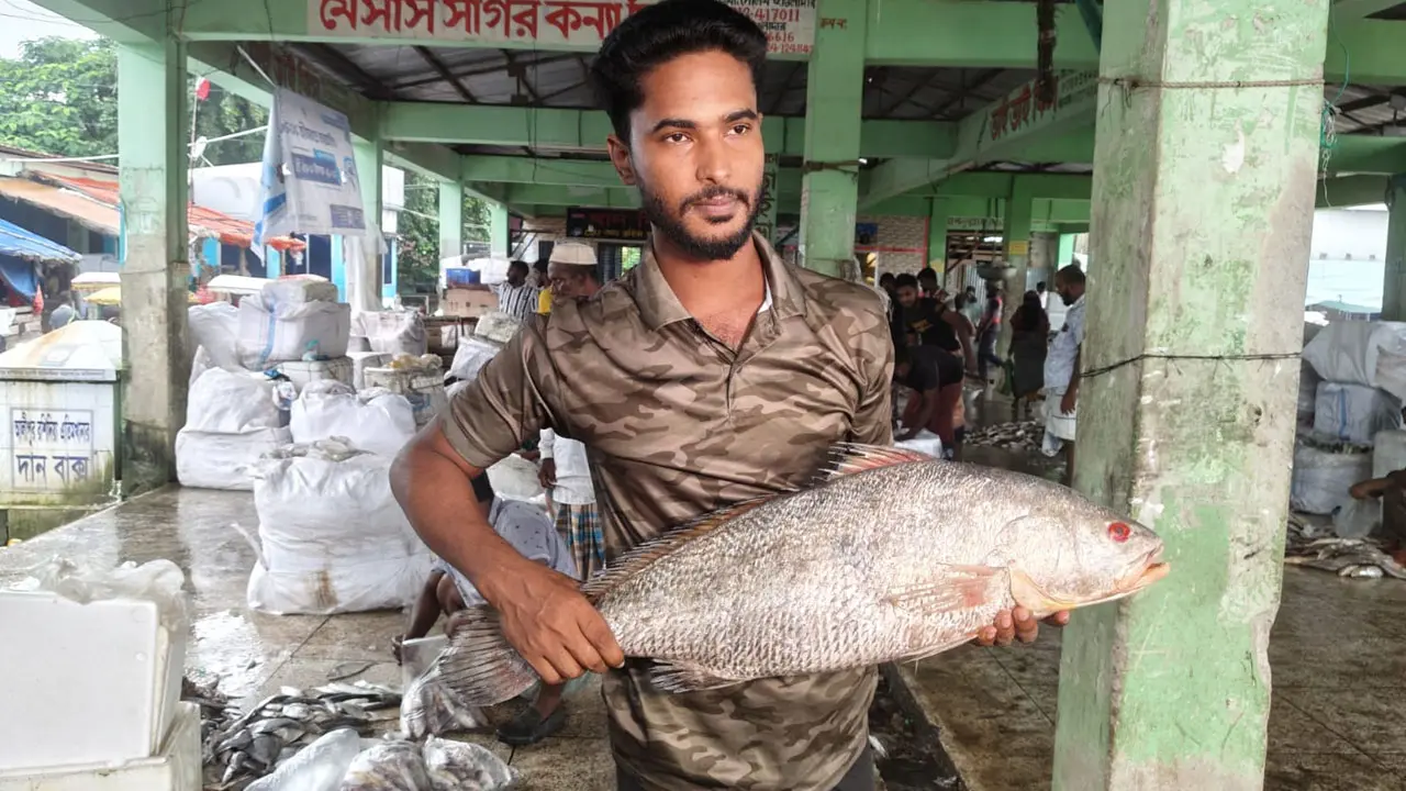 ৮ কেজির দাতিনা মাছ ৪০ হাজার টাকায় বিক্রি