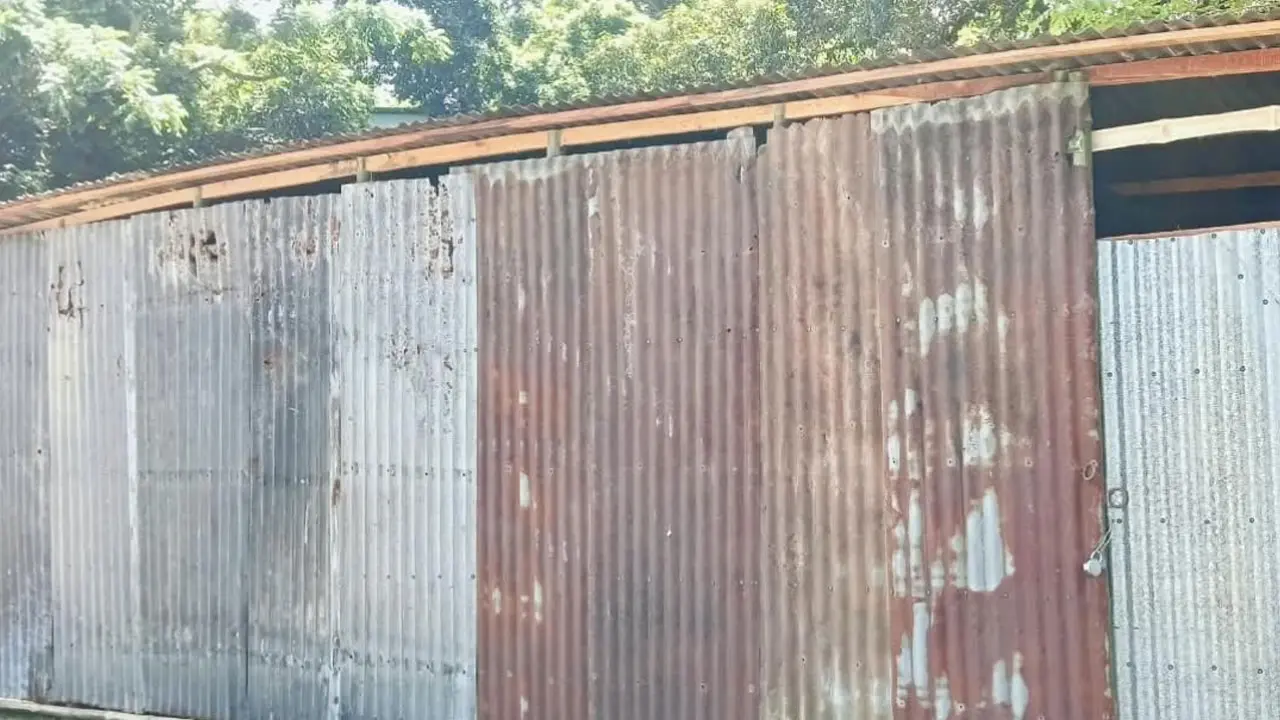 রাতের আঁধারে সংঘের নামে সরকারি জমি দখল করে টিনের ঘর নির্মাণ