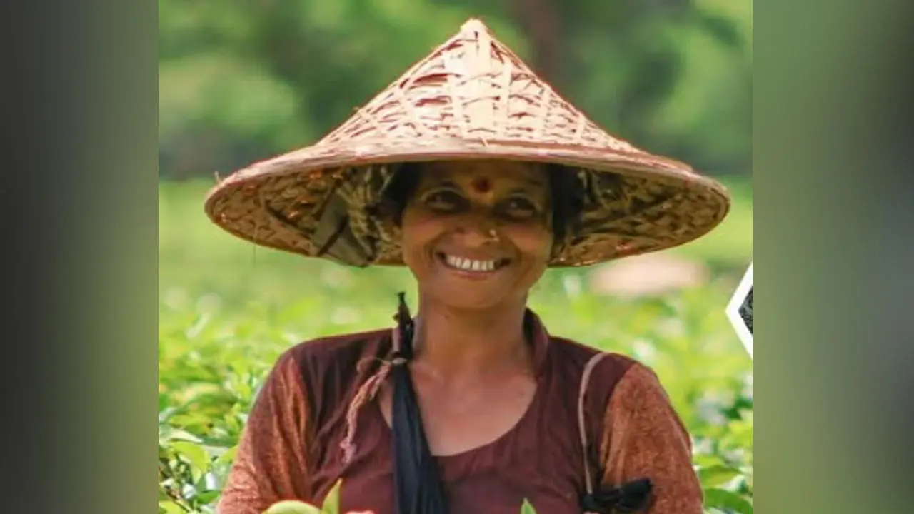চা পাতা তুলতে গিয়ে এক নারী শ্রমিকের মৃত্যু