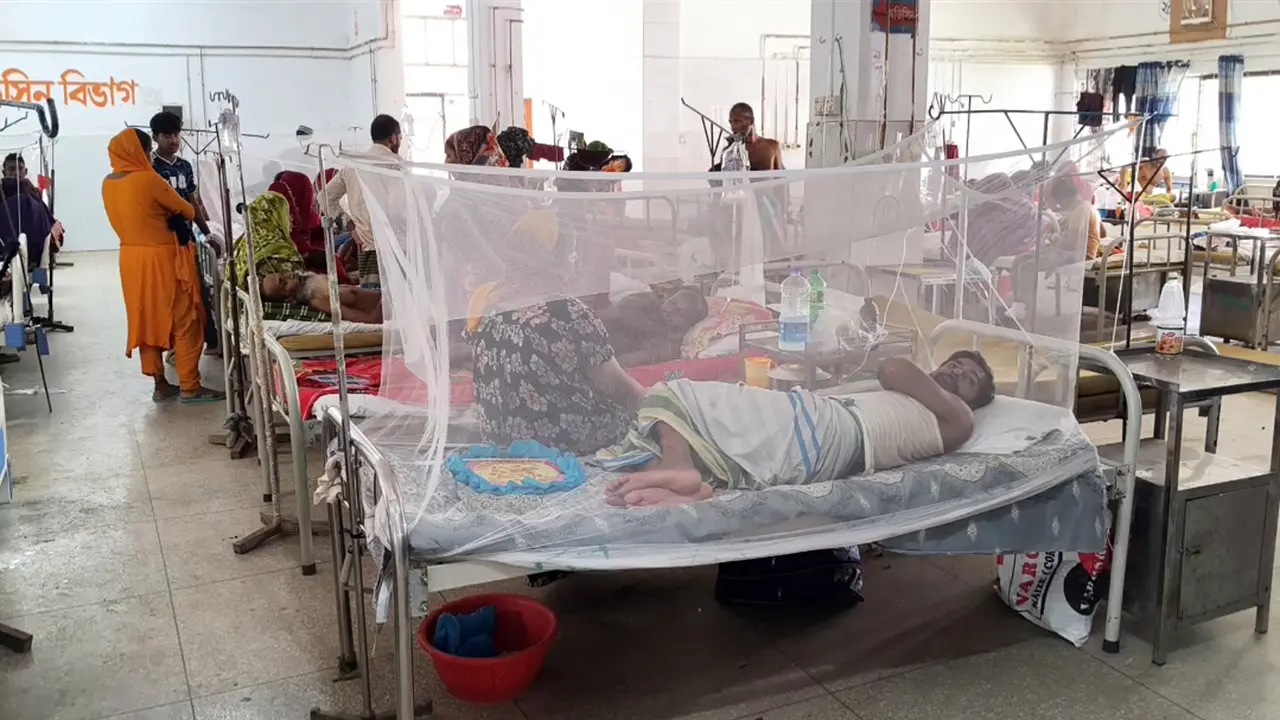 নরসিংদীতে ডেঙ্গুর দাপট, ঠাঁই নেই হাসপাতালে