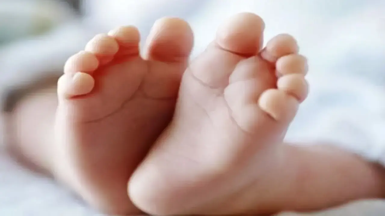 ময়লার স্তূপে মিলল দুই নবজাতকের মরদেহ