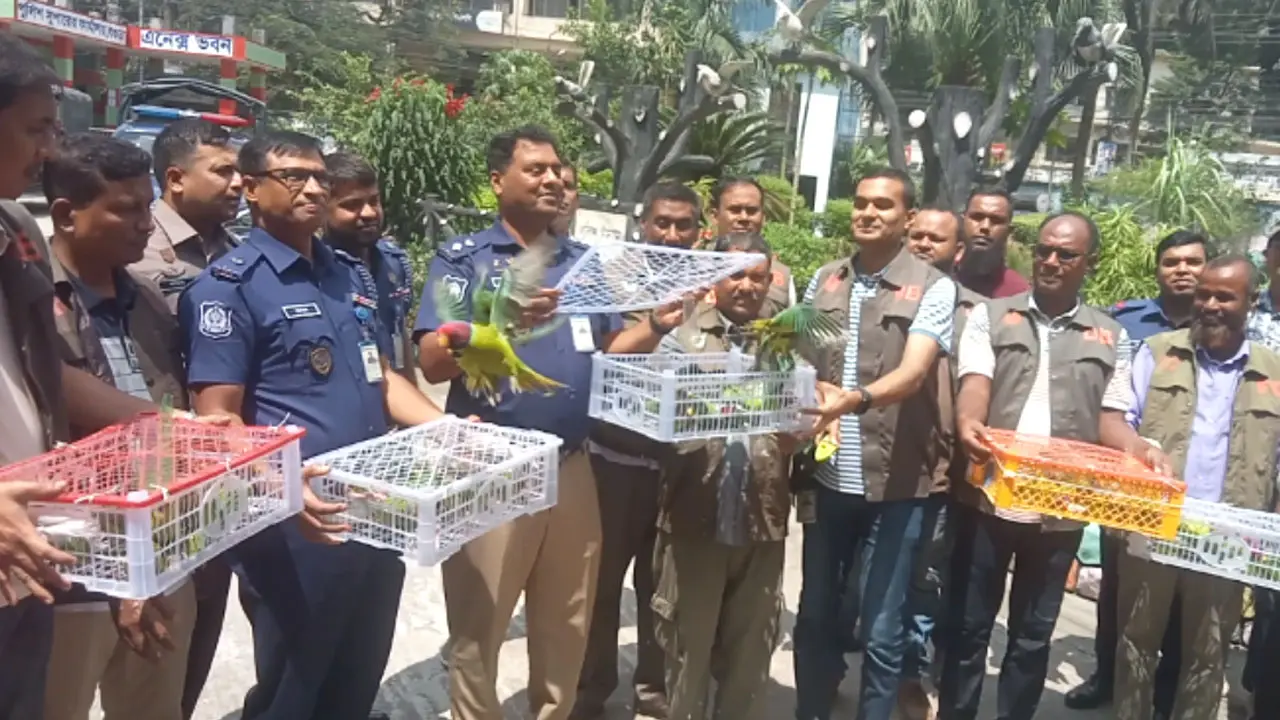 যাত্রীবাহী বাস থেকে খাঁচাবন্দি ১০৩টি টিয়া পাখি উদ্ধার