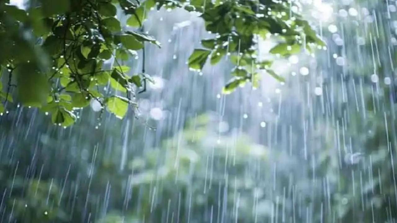 সারাদেশে বৃষ্টির আভাস