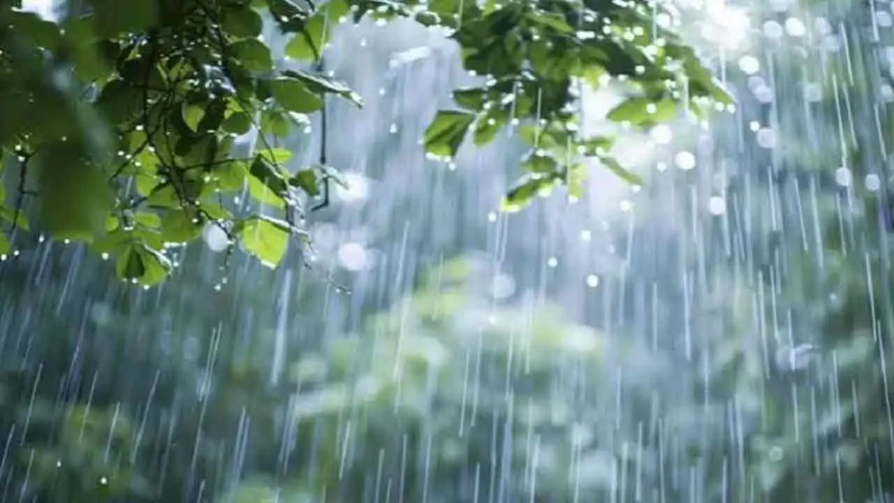 আট বিভাগেই বৃষ্টির আভাস